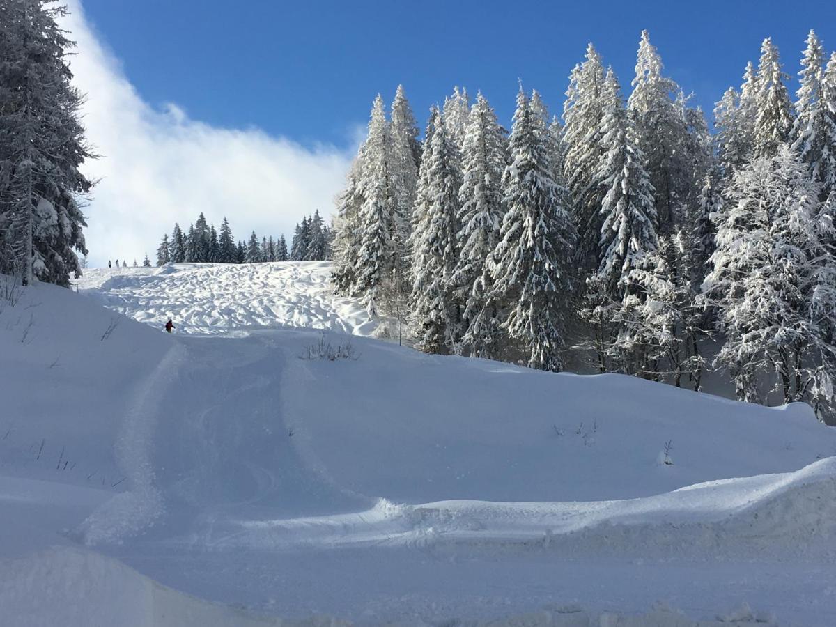 Ferienwohnung Heimweg Feldberg  Buitenkant foto