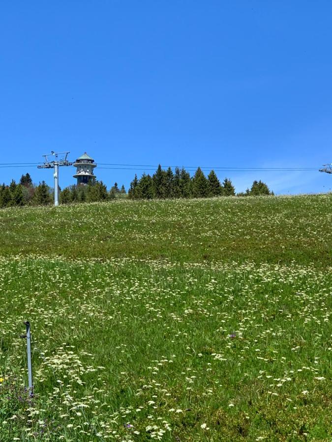 Ferienwohnung Heimweg Feldberg  Buitenkant foto