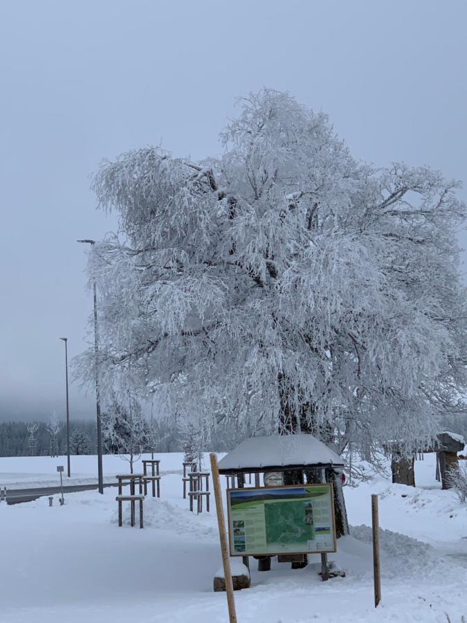 Ferienwohnung Heimweg Feldberg  Buitenkant foto
