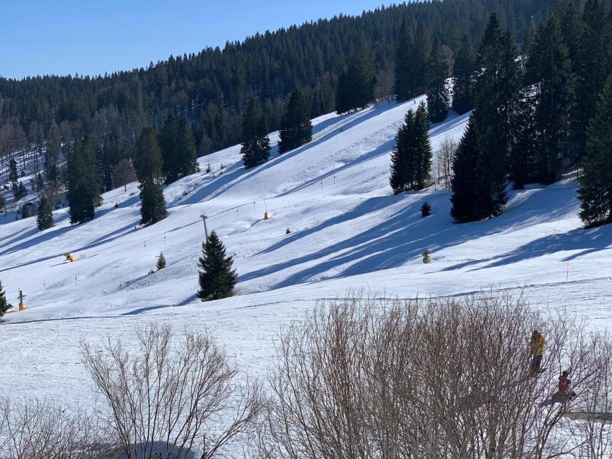 Ferienwohnung Heimweg Feldberg  Buitenkant foto